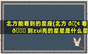 北方能看到的星座(北方 🦢 看 🐛 到zui
亮的星星是什么星星)